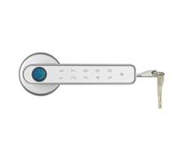 Serratura intelligente, Impronta digitale biometrica Serratura intelligente for porta elettronica Password Maniglia for di sicurezza senza chiave Casa(Silver)