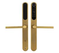 Serratura intelligente per porta con impronte digitali, serratura intelligente con maniglia, serratura digitale, maniglia per porta Smart Home con impronte digitali (oro)