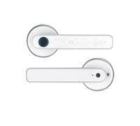 Serratura intelligente, Serratura di sicurezza con impronta digitale, password biometrica, sblocco con chiave di tipo C, ricarica di emergenza for porte(Silver)