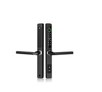 Serratura Intelligente TTLock Smart Lock Impronta digitale esterna impermeabile APP Codice RFID Serratura elettronica senza chiave(Type 5,2885 double)