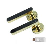 Serratura Intelligente Tuya Digital Electronic Smart Door Lock Maniglia biometrica for porta con impronte digitali Password digitale senza chiave Home(Gold and Gateway)