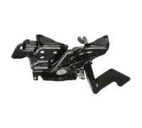 Serratura Porta Per RAM 1500 2014-2019 Per RAM 2500 | 2014-2015 Oem 68159725 EU 4589528 EU 68159725 EU 68159725 Chiusura A Scatto Cofano Anteriore