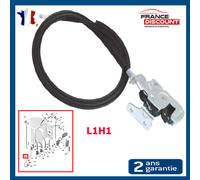 Serratura Porta Posteriore Pinze Per Boxer Ducato Felpa 8719A3 9137K3 1615655980