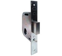 Serratura resistente per cancelli e porte in ferro WELKA 07345400