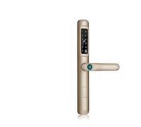 Serratura Smart Impronta Digitale Esterna Impermeabile TUYA APP Codice Carta RFID Serratura Elettronica Intellinte Senza Chiave Scorrevole In Alluminio/vetro Porta Casa Ufficio Appartamento(3085,Gold)