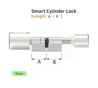 Serratura Smart, Impronta digitale WIFI Scheda RFID Serratura a cilindro Euro Bluetooth elettronica biometrica intelligente for porta senza chiave for la casa(Silver Bluetooth,35 and 35 to 55)