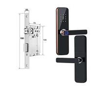 Serratura Smart, Serratura intelligente elettronica Tuya con impronta digitale biometrica/Smart Card/password/sblocco chiave/carica di emergenza USB(190x22(5050),Noir)