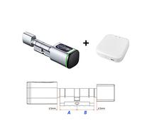 Serratura Smart Tuya Smart Lock Cylinder Fingerprint Card Key App Remote Control Lock Core Home Old Door Replacement Porta Casa Ufficio Appartamento(Silver with gateway,A 45 B45)