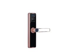 Serrature Biometriche For Impronte Digitali Smart Lock App Tuya Sblocco Remoto Serratura Senza Chiave Elettronica Digitale Ufficio dell'albergo(200x22(5050),Pure Copper)