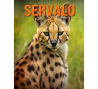 Servalo: Fatti e immagini divertenti e affascinanti sui Servalo