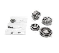 Service Kit Ricambi Cuscinetto per Soffiatori a Robuschi, Gamma RBS, Taglie RBS 35-45-46 : Cuscinetto albero rotore anteriore, Cuscinetto albero rotore posteriore, Vite, Rondella in 1 scatola