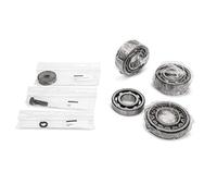 Service Kit Ricambi Cuscinetto Soffiatori Lobi Robuschi, Gamma RBS, Taglie 75-85-86: cuscinetto albero rotore anteriore, cuscinetto albero rotore posteriore, Vite, Rondella in 1 scatola.