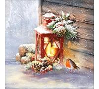 Servietten Weihnachten | 20 pezzi | 3 strati | 33 x 33 cm | colorato | decorazione per tavolo di carta