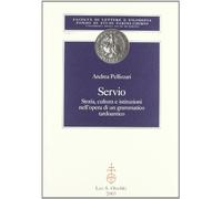 Servio. Storia, cultura e istituzioni nell'opera di un grammatico ta rdoantico