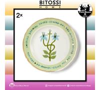 Servizio 2 piatti da frutta in porcellana da cucina ristorante bar Botanica