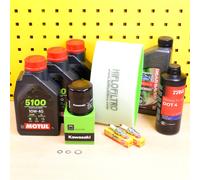 Servizio Clienti Cambio Olio Motul 10W40 Per: Kawasaki Brute Force KVF 750