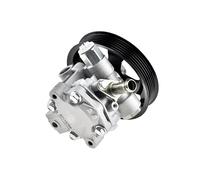 Pompa servosterzo idraulico con puleggia multipla SPW-CH-003 NTY per JEEP DODGE