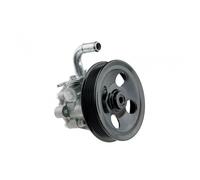 Servo Pompa Per Hyundai Santa Fe 2.0CRDI 2.2CRDI 10- Kia Sorento 10- Nuovo