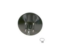 Servofreno 0 204 125 910 BOSCH per IVECO DAILY V Pianale piatto/Telaio