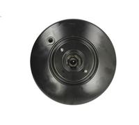 Servofreno BOSCH 0 204 828 667 per RENAULT ESPACE V (JR_) 2 2018-2023
