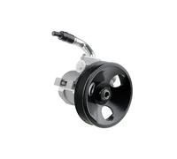 NTY Pompa idraulica sterzo SPW-PL-002 con puleggia multipla per Chevrolet Captiva 2.4, Opel Antara