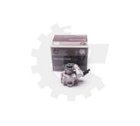 Servopumpe Esen Skv 10SKV030 Citroen Nemo Fiat Doblo Fiorino Strada; 1,3 Dieselm