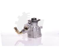 Servopumpe Esen Skv 10SKV133 Citroen Jumper Peugeot Boxer ; 2,5 Motore Diesel;