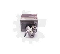 Servopumpe Esen Skv 10SKV230 Ford Galaxy Seat Alhambra VW Sharan; Motore Benzina