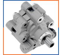 NTY Pompa servosterzo idraulica SPW-CH-038 per Chrysler Pacifica 4743805AC