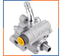 NTY Pompa idraulica, Sterzo compatibile con CHRYSLER SPW-CH-058