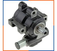 NTY Pompa idraulica servosterzo SPW-CH-030 per Dodge RAM 1500 Pick-Up 4.7 4x4