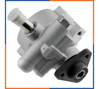 NTY SPW-FT-004 Pompa idraulica, sterzo