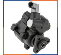 NTY SPW-CH-011 Pompa idraulica, sterzo