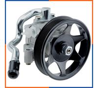 NTY SPW-CH-026 Pompa idraulica, sterzo
