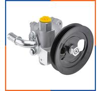 NTY Pompa idraulica sterzo SPW-HY-512 compatibile con Hyundai H100 con puleggia