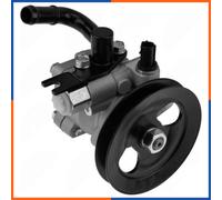 NTY SPW-HY-517 Pompa idraulica, sterzo