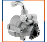 NTY SPW-VC-002 Pompa idraulica, sterzo
