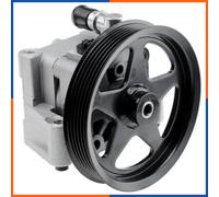 NTY SPW-LR-013 Pompa idraulica, sterzo