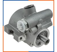 NTY SPW-CH-045 Pompa idraulica, sterzo