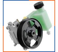 NTY Pompa idraulica, Sterzo compatibile con SPW-MZ-001