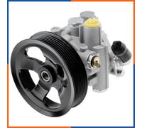 NTY SPW-MS-006 Pompa idraulica, sterzo