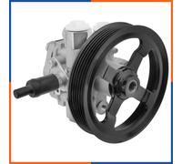 NTY SPW-MS-018 Pompa idraulica, sterzo
