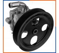 NTY SPW-MS-020 Pompa idraulica, sterzo