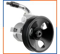 NTY Pompa idraulica sterzo SPW-PL-002 con puleggia multipla per Chevrolet Captiva 2.4, Opel Antara