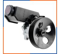 NTY SPW-PL-008 Pompa idraulica, sterzo