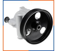 Pompa servosterzo idraulico con puleggia multipla SPW-RE-005 NTY per DACIA