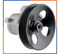 NTY Pompa servosterzo idraulica SPW-VV-005 per Volvo 850 con puleggia multipla