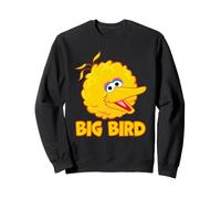Sesame Street Big Head Name Big Bird Felpa