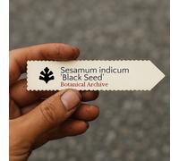 Sesamum indicum 'Black Seed' SEEDS - - SEMI Sesamo nero | Semi di sesamo