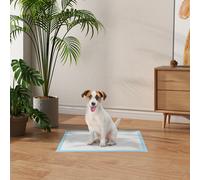 Set 1 Tappetini Igienici per Cani a 6 Strati in Tessuto non Tessuto, Carta e PE, 45x60 cm, Blu e Bianco